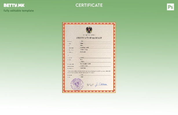 модерен стил Австрија венчаница Шаблон PSD, шаблон